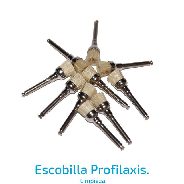 Escobilla Profilaxis Copa Nylon  Dura (Unidad).
