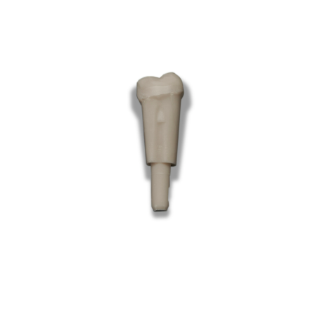 Diente Marfilina Molar 4.6