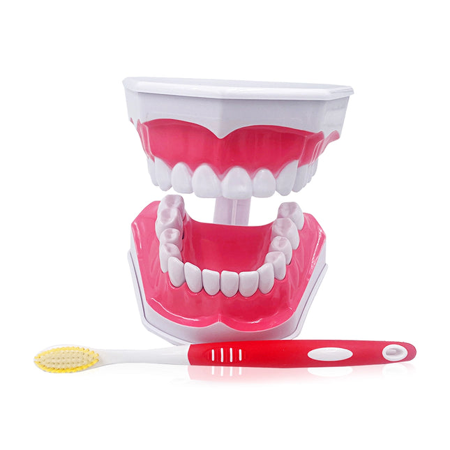 Macromodelo con Cepillo