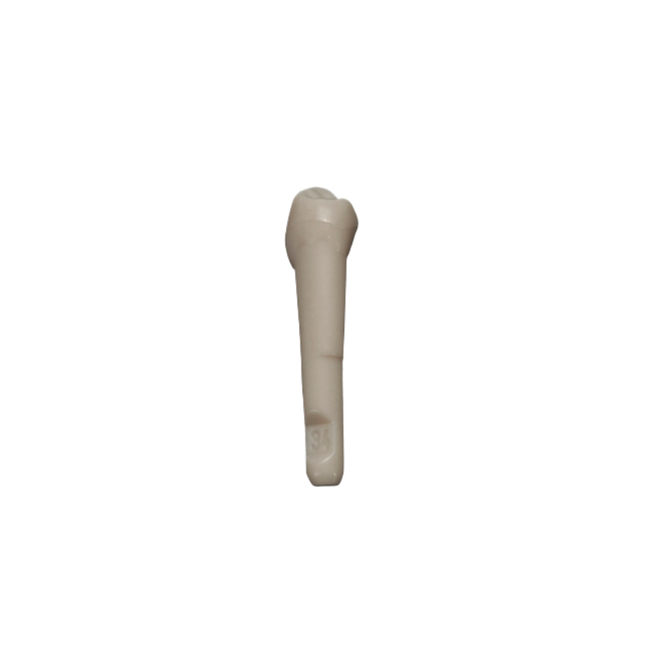 Diente Marfilina Premolar 3.4