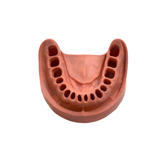 Gingiva/Encia Simulacion Inferior UK VZ