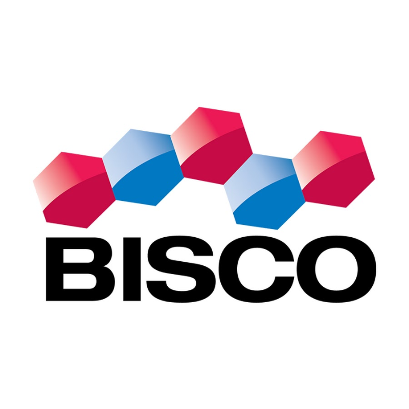Biscem Translucido Jeringa 8 Grs (Cemento Resina Dual auto-adhesivo)